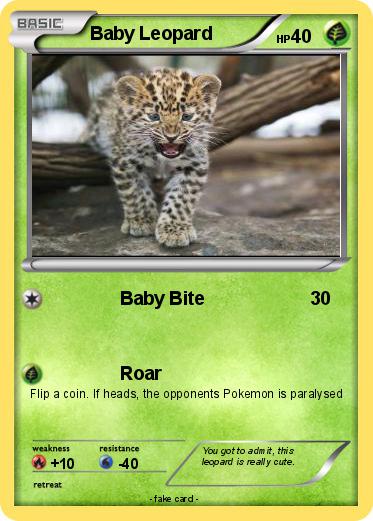 Pokemon Baby Leopard