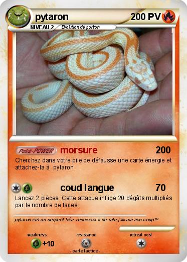 Pokemon pytaron