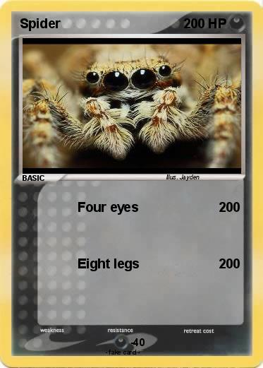 Pokemon Spider