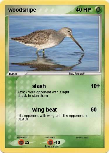 Pokemon woodsnipe