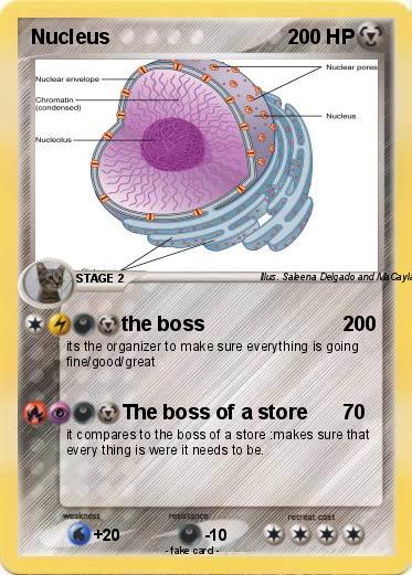 Pokemon Nucleus