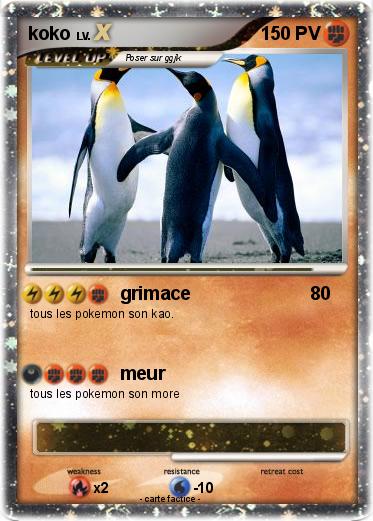 Pokemon koko