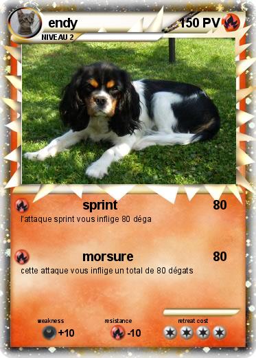 Pokemon endy
