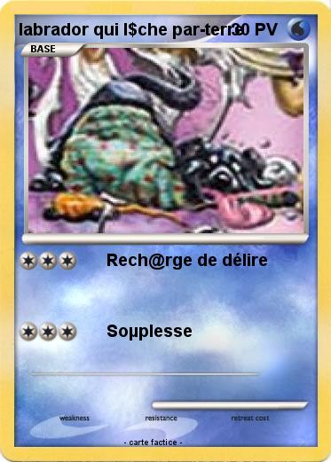 Pokemon labrador qui l$che par-terre
