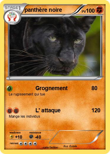 Pokemon panthère noire