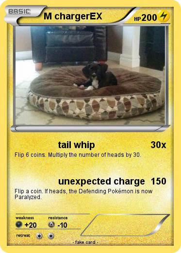 Pokemon M chargerEX