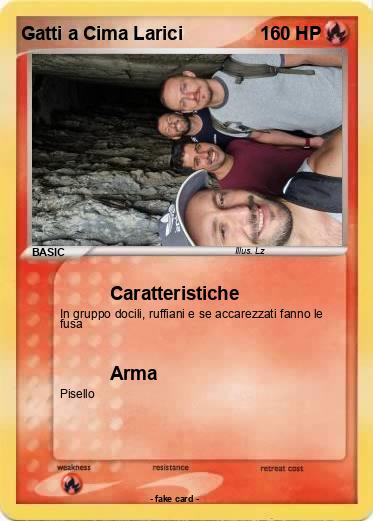 Pokemon Gatti a Cima Larici