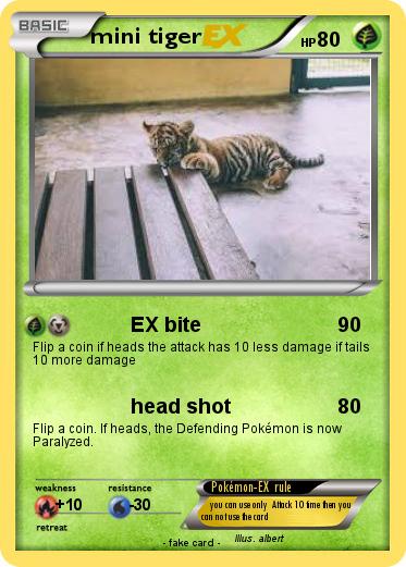 Pokemon mini tiger