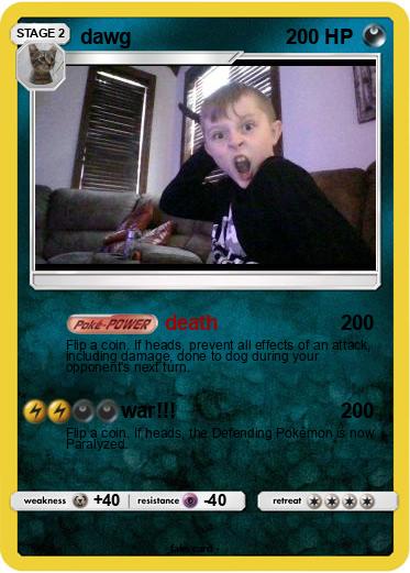 Pokemon dawg