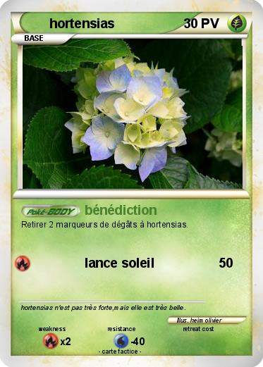Pokemon hortensias