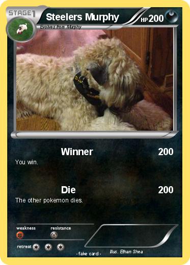 Pokemon Steelers Murphy