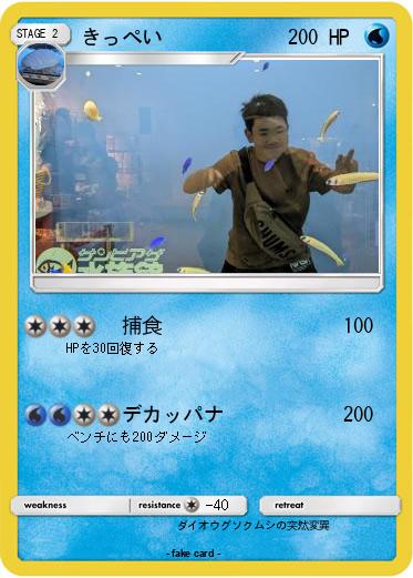 Pokemon きっぺい