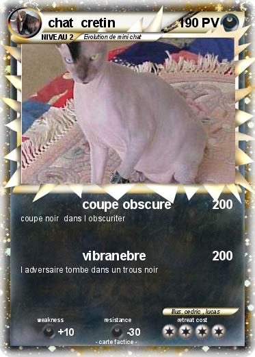 Pokemon chat  cretin