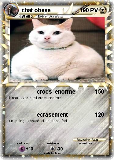 Pokemon chat obese