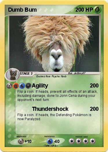 Pokemon Dumb Bum