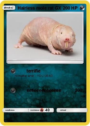 Pokemon Hairless mole rat GX