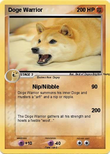 Pokemon Doge Warrior