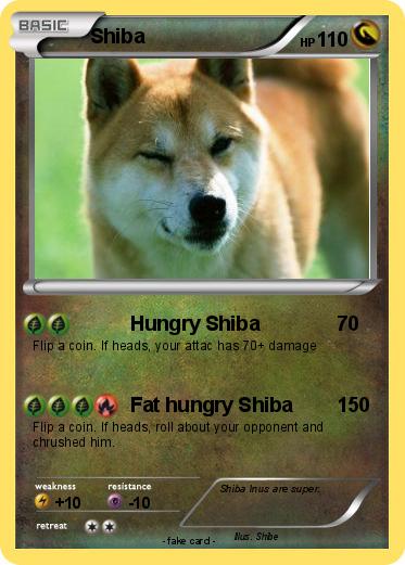 Pokemon Shiba