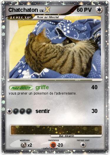 Pokemon Chatchaton