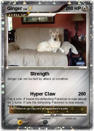 Pokemon Ginger