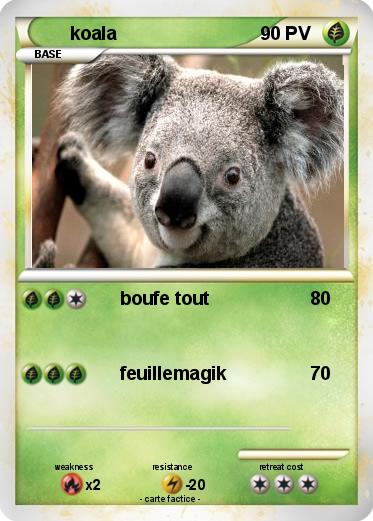 Pokemon koala