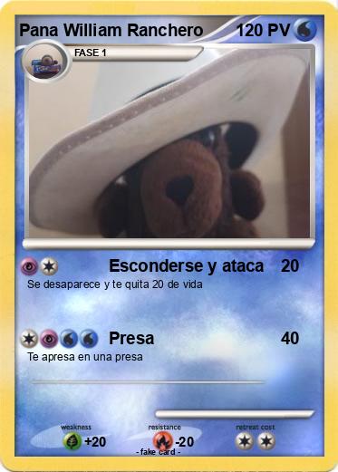 Pokemon Pana William Ranchero