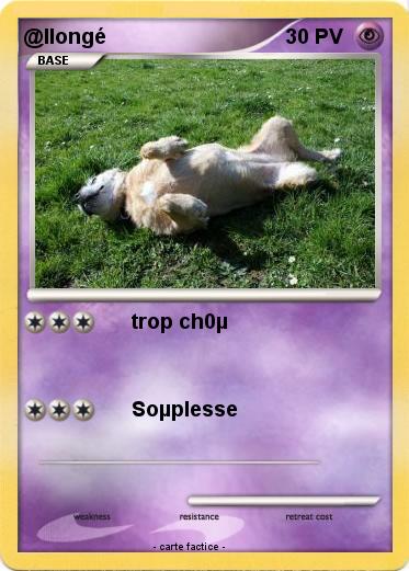 Pokemon @llongé