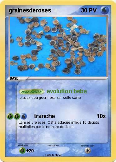Pokemon grainesderoses