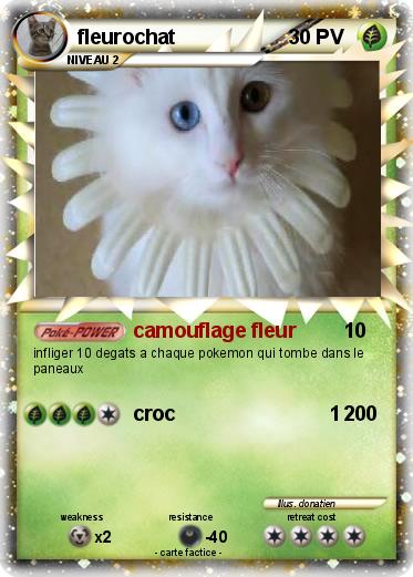 Pokemon fleurochat