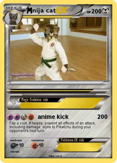 Pokemon nija cat