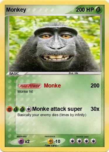 Pokemon Monkey