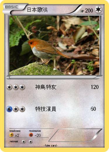 Pokemon 日本歌鴝