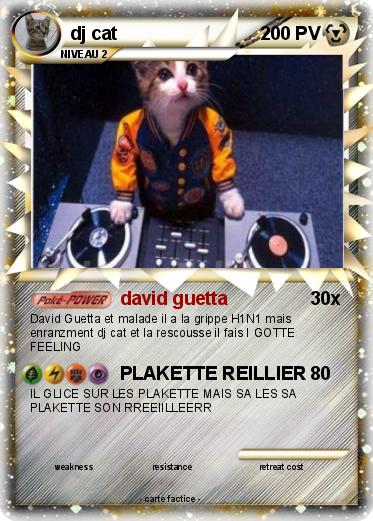Pokemon dj cat