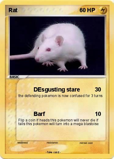 Pokemon Rat