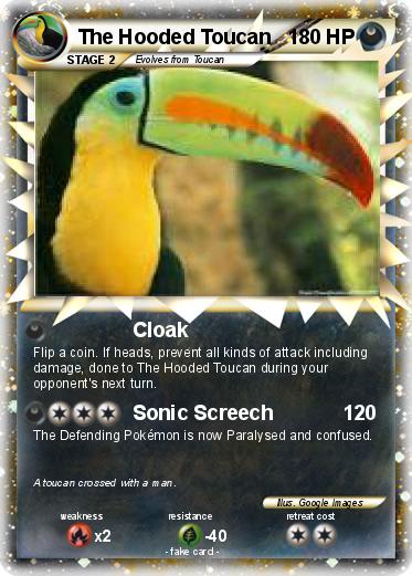Pokemon The Hooded Toucan