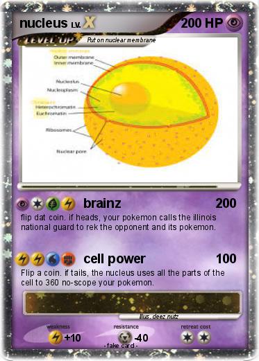 Pokemon nucleus