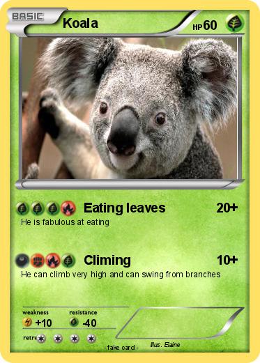 Pokemon Koala