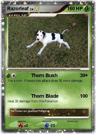 Pokemon Razorleaf