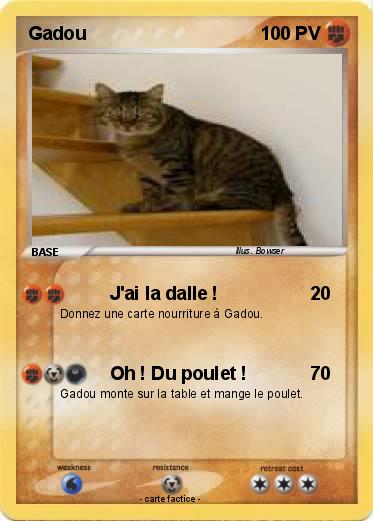 Pokemon Gadou