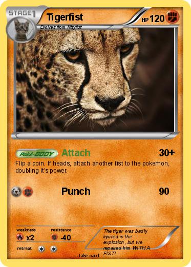 Pokemon Tigerfist