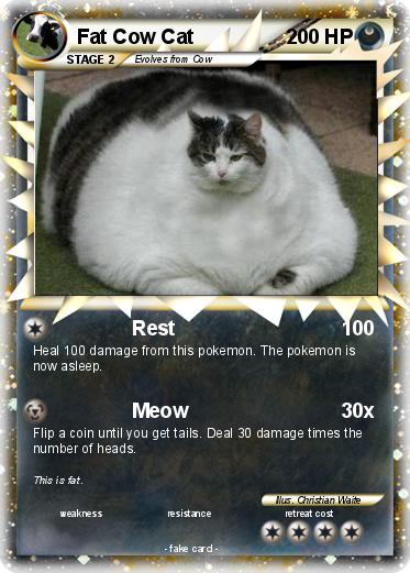 Pokemon Fat Cow Cat