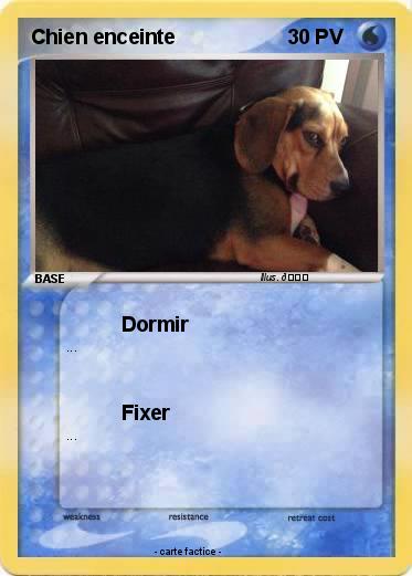 Pokemon Chien enceinte