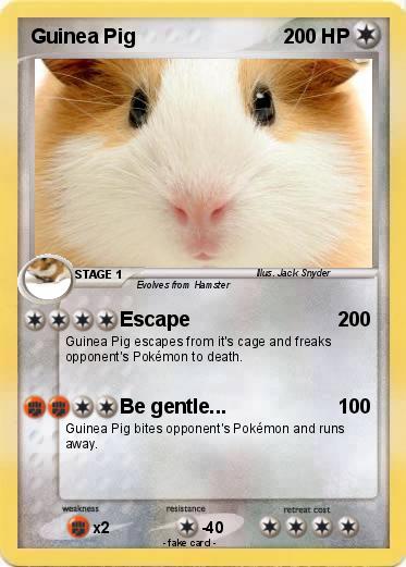 Pokemon Guinea Pig