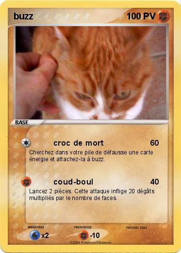 Pokemon buzz