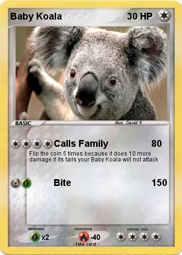 Pokemon Baby Koala