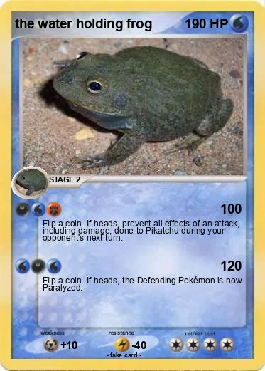 Pokemon the water holding frog