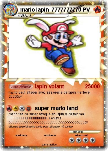 Pokemon mario lapin  77777777