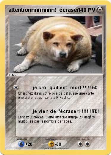 Pokemon attentionnnnnnnn!  écraser!
