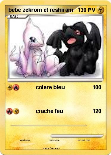 Pokemon bebe zekrom et reshiram