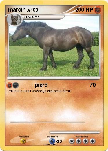 Pokemon marcin